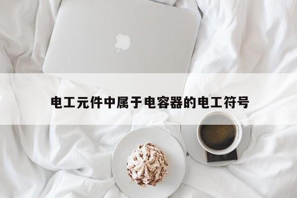 电工元件中属于电容器的电工符号