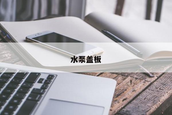 水泵盖板