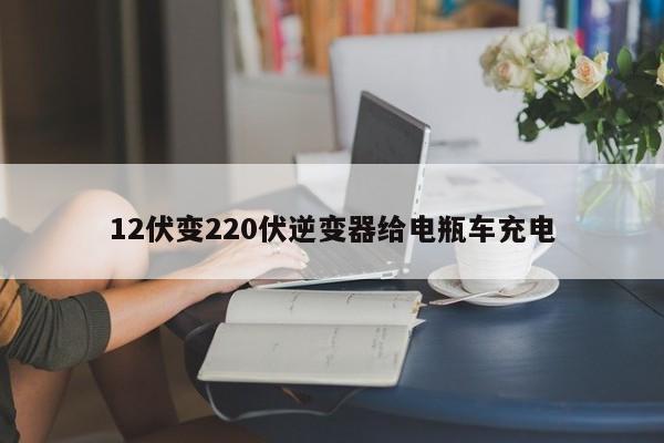 12伏变220伏逆变器给电瓶车充电