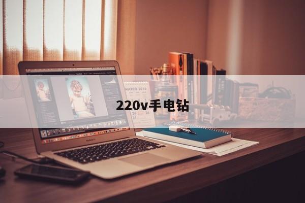 220v手电钻